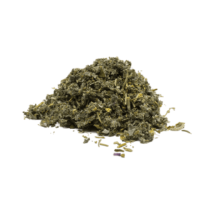 CyclusComfort Thee